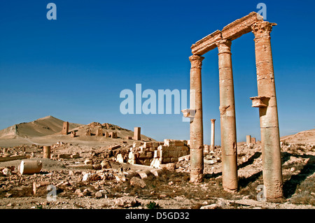 2 Cent BC Palmyra Syrien römische Ausgrabungsstätte Stockfoto