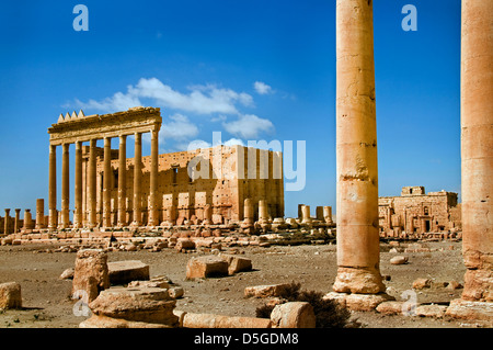 Tempel des Bel 2 Cent Römermuseum Palmyra Syrien Stockfoto