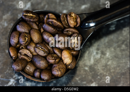 Geröstete Kaffeebohnen in einem Messlöffel Kunststoff. Stockfoto