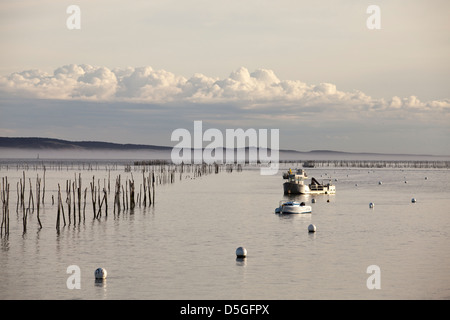 Beiträge markieren Austernbänke im Wasser in der Bucht von Arcachon an Lège-Cap-Ferret, Frankreich Stockfoto