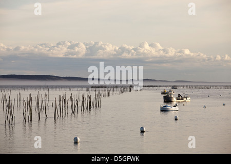 Beiträge markieren Austernbänke im Wasser in der Bucht von Arcachon an Lège-Cap-Ferret, Frankreich Stockfoto