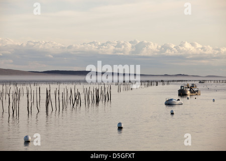 Beiträge markieren Austernbänke im Wasser in der Bucht von Arcachon an Lège-Cap-Ferret, Frankreich Stockfoto