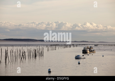 Beiträge markieren Austernbänke im Wasser in der Bucht von Arcachon an Lège-Cap-Ferret, Frankreich Stockfoto