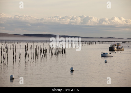 Beiträge markieren Austernbänke im Wasser in der Bucht von Arcachon an Lège-Cap-Ferret, Frankreich Stockfoto