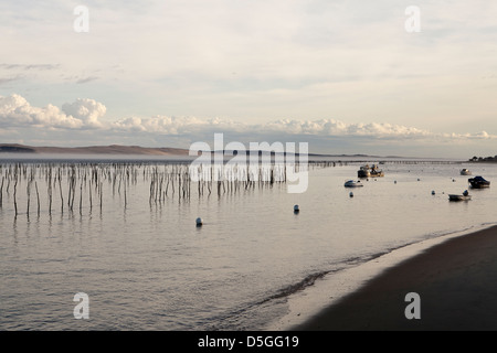 Beiträge markieren Austernbänke im Wasser in der Bucht von Arcachon an Lège-Cap-Ferret, Frankreich Stockfoto