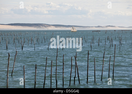 Eine Yacht segelt historische Beiträge markieren Austernbänke im Wasser in d ' Arcachon, die Düne von Pyla im Hintergrund Lège-Cap-Ferret Stockfoto