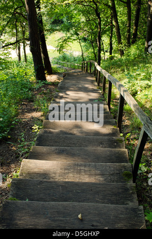 alte hölzerne Treppe zum Waldpark Stockfoto