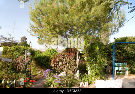 Garten in Kiryat Ata, Israel, Nahost Stockfoto