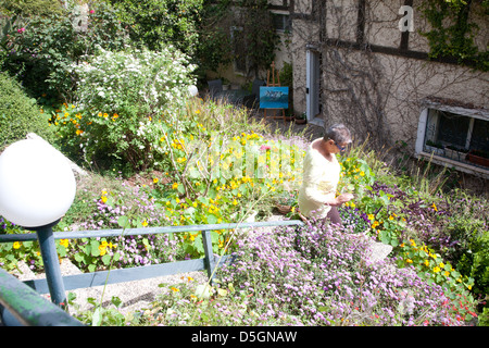 Garten in Kiryat Ata, Israel, Nahost Stockfoto