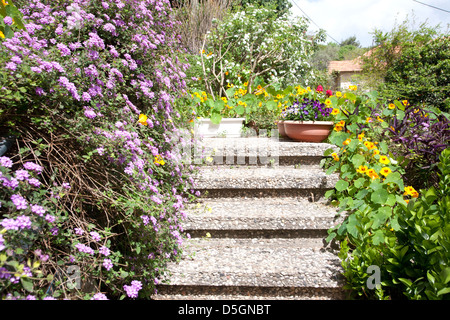 Garten in Kiryat Ata, Israel, Nahost Stockfoto