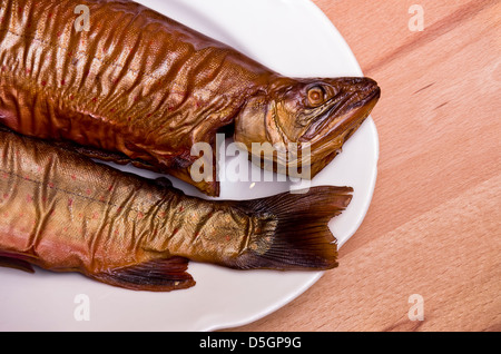 Geräucherten Fisch auf einem weißem Porzellan Teller Stockfoto