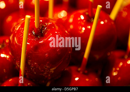 Zucker beschichtete Äpfel bekannt sowie Liebesäpfel oder Toffee Äpfel verkauft auf Winter-Wunderland fair in London, UK, Europa Stockfoto