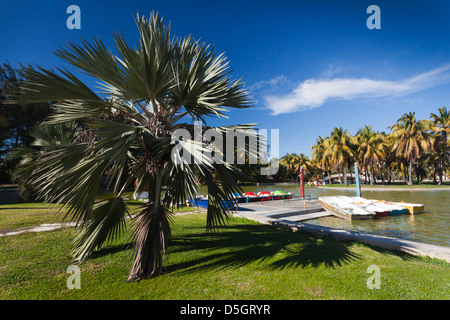 Kuba, Varadero, Varadero, Parque Josone park Stockfoto