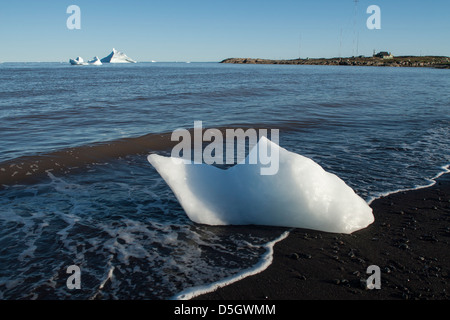 Eisblöcke aus Eisbergen, Qeqertarsuaq, Grönland abgebrochen Stockfoto