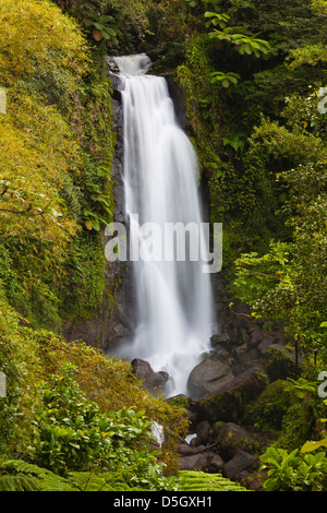 Dominica, Roseau, Roseau Valley, Trafalgar Wasserfälle Stockfoto