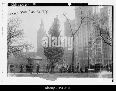 Dieses Bild aus dem Jahr 1913 zeigt einen großen Weihnachtsbaum am Madison Square, New York City. Der Baum, der für die Öffentlichkeit ausgestellt wurde, war eine wichtige Urlaubsattraktion bei den kulturellen Veranstaltungen der Stadt. Stockfoto