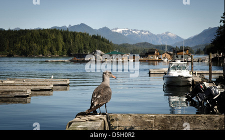 Vancouver Island, Tofino. Juvenile Seagull Blick auf Boote, schwimmende Häuser und Berge der Strathcona Provincial Park. Stockfoto