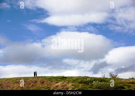 Besucher des Parks genießen den Blick auf Polychrome übersehen, Denali National Park, Alaska, USA Stockfoto