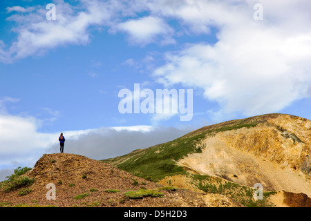 Einsame weibliche Parkbesucher genießen den Blick auf Polychrome übersehen, Denali National Park, Alaska, USA Stockfoto