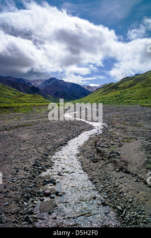 Schneeschmelze aus die Alaska Range speist einen kleinen Bach, Denali National Park, Alaska, USA Stockfoto