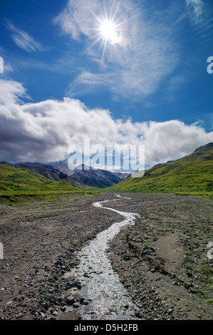 Schneeschmelze aus die Alaska Range speist einen kleinen Bach, Denali National Park, Alaska, USA Stockfoto