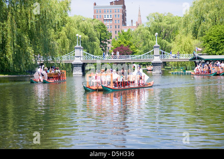 Schwan mit Touristen fährt durch Suspension Bridge im Public Garden und Boston Common im Sommer, Boston, Ma., New England, USA Stockfoto