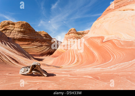 Weitwinkel-Blick auf die legendäre Welle - bunten Sandstein-Felsformation Stockfoto