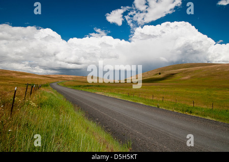 Zumwalt Prairie in NE Oregon Stockfoto