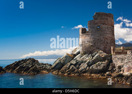 Frankreich, Korsika, Le Cap Corse, Erbalunga, Genueser Turm Stockfoto