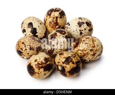 Reihe von ganze Wachtel auf weißen Eiern Stockfoto