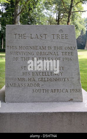 Memorial Marker unter "letzte Baum' (Überleben seit 1916), South African National Memorial, Delville Wood, Somme, Frankreich. Stockfoto