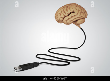 Illustration des menschlichen Gehirns über grauen Hintergrund mit USB-Kabel verbunden. Stockfoto