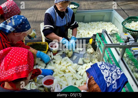 Frauen setzen Senf Gurken in Gläser Spreewaldmueller GmbH & Co. kg in Lübbenau, Deutschland, 21. September 2012. An vielen Orten im Spreewald ist Produktion noch von hand durchgeführt. Mitarbeiter des Familienunternehmens Spreewaldmueller füllen rund 4.000 Gläser komplett per Hand jeden Tag. Foto: Patrick Pleul Stockfoto