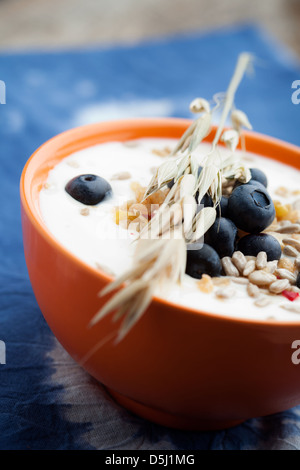 Joghurt mit frischen Heidelbeeren und Früchte-Müsli Stockfoto