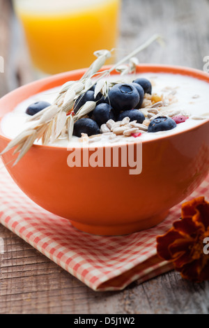 Joghurt mit frischen Heidelbeeren und Früchte-Müsli Stockfoto