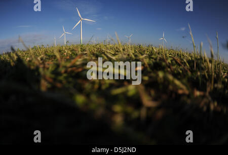 Windkraftanlagen stehen auf einem Feld in der Nähe von Sarstedt, Deutschland, 13. November 2012. Foto: JULIAN STRATENSCHULTE Stockfoto