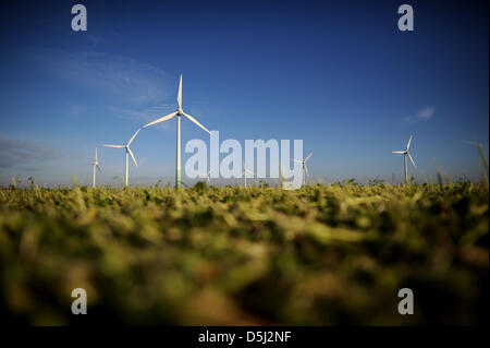 Windkraftanlagen stehen auf einem Feld in der Nähe von Sarstedt, Deutschland, 13. November 2012. Foto: JULIAN STRATENSCHULTE Stockfoto