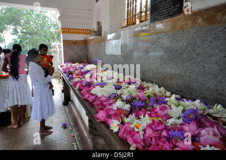 Blume-Angebote, Sri Maha Bodhi, Anuradhapura, Sri Lanka Stockfoto