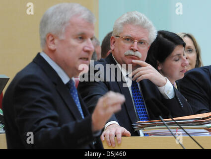 Premier von Bayern Horst Seehofer (CSU, FRONTROW) spricht bei einer Sitzung des Bayerischen Landtags in München, 14. November 2012. Bayerischer Staatsminister für Wirtschaft Martin Zeil (FDP) ist im Hintergrund abgebildet. Foto: ANDREAS GEBERT Stockfoto