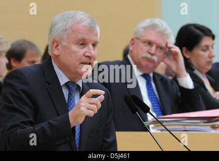 Premier von Bayern Horst Seehofer (CSU, FRONTROW) spricht bei einer Sitzung des Bayerischen Landtags in München, 14. November 2012. Bayerischer Staatsminister für Wirtschaft Martin Zeil (FDP) ist im Hintergrund abgebildet. Foto: ANDREAS GEBERT Stockfoto