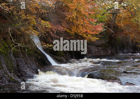 Glen Esk Esk-Schottland Stockfoto