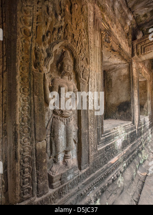 Tempel-Detail mit einer gesagt. Ta Prohm. Angkor archäologischer Park. Siem Reap. Kambodscha Stockfoto