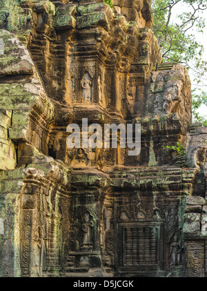 Tempel-Fassade Detail. Ta Prohm. Angkor archäologischer Park. Siem Reap. Kambodscha Stockfoto