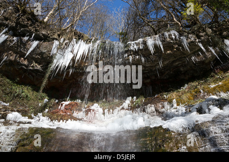 Eiszapfen in Clydach Schlucht, Wales, Großbritannien Stockfoto