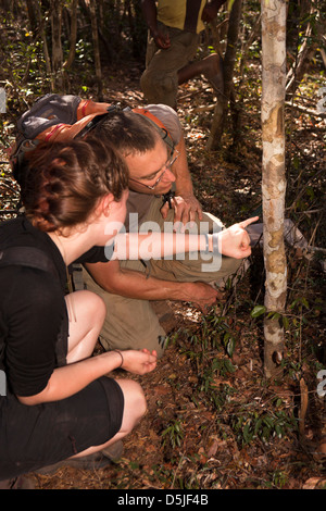 Madagaskar, Betrieb Wallacea, Studenten- und Matsedroy Wissenschaftler im Wald Stockfoto