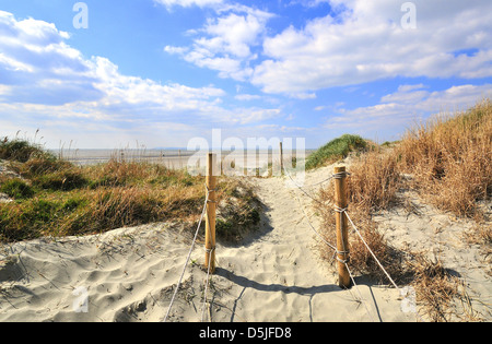 Weg durch die Sanddünen zum West Wittering Beach ein Strand mit blauer Flagge in West Wittering, Chichester, West Sussex, England, Großbritannien Stockfoto