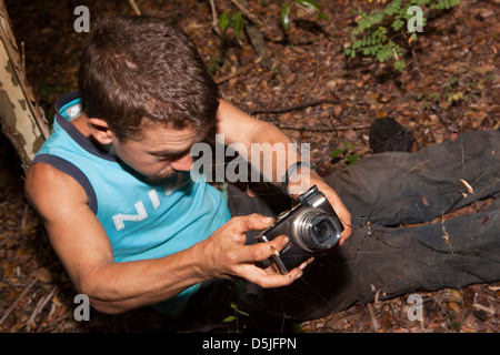 Madagaskar, Insekten, Betrieb Wallacea Wissenschaftler fotografieren Trockenwald Spinne im web Stockfoto