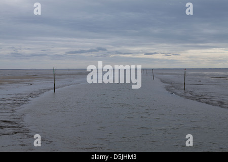 Einen Kanal gekennzeichnet durch Holzpfosten bei Ebbe am Hafen von Andernos Les Bains, Gironde, Frankreich Stockfoto