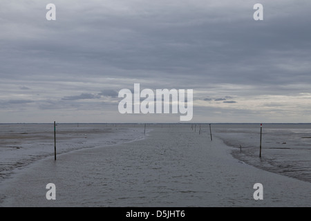 Einen Kanal gekennzeichnet durch Holzpfosten bei Ebbe am Hafen von Andernos Les Bains, Gironde, Frankreich Stockfoto