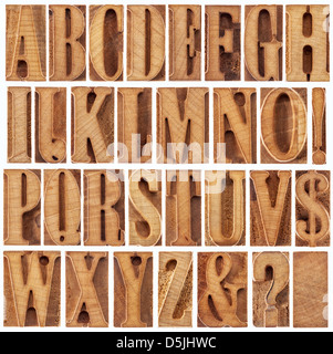 Sehr Leichte Holzart 5 Buchstaben
